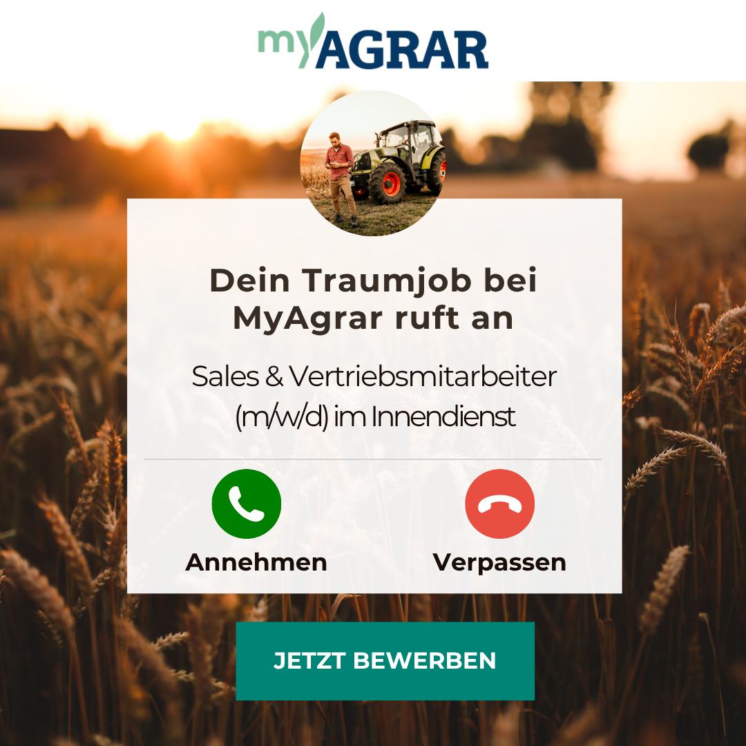 Weber Media – Web & Marketing Agentur Hamburg